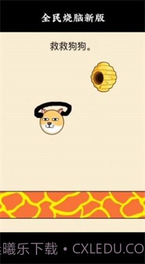 救救狗狗蜜蜂截图2