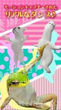 adanza跳舞的羊驼最新版截图1 adanza跳舞的羊驼最新版截图1