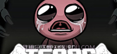 以撒的结合:重生截图1 以撒的结合:重生截图1