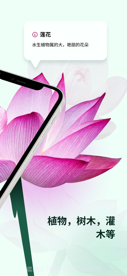 植物花形色拍照识花识别植物截图2