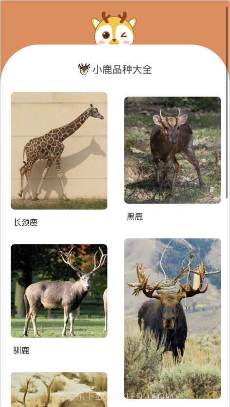 小鹿趣看截图2 小鹿趣看截图2