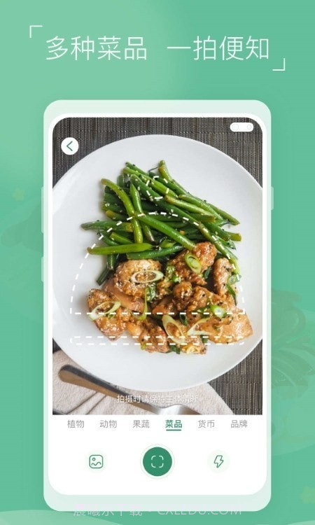 植物识别宝截图2 植物识别宝截图2