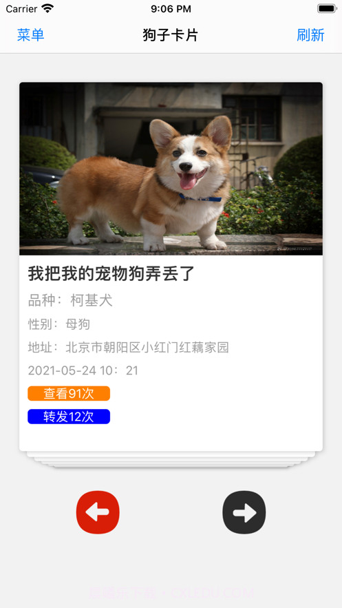 寻找丢失的狗子截图1 寻找丢失的狗子截图1