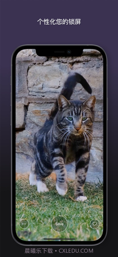 猫动态壁纸截图4 猫动态壁纸截图4