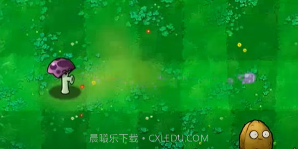 植物大战僵尸PVZ版截图3