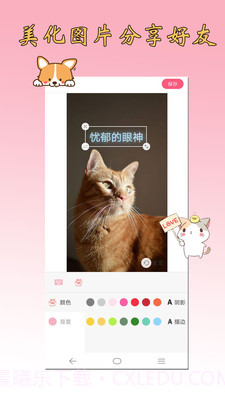 猫狗翻译器截图4