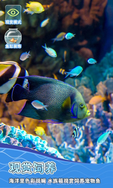 假装鱼缸模拟器截图4 假装鱼缸模拟器截图4