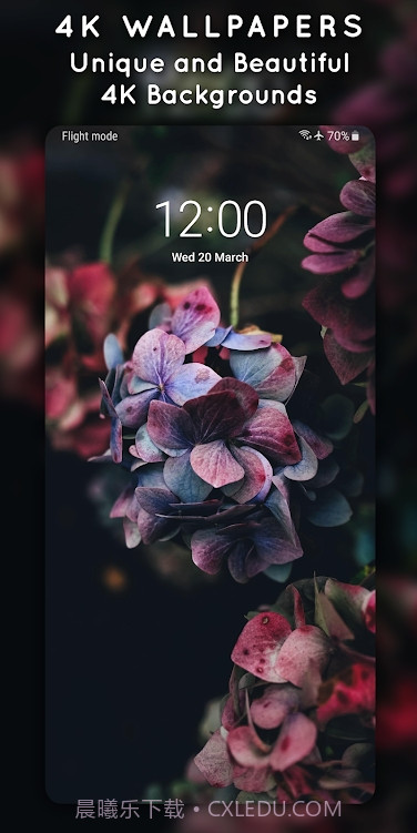 4K3D动态壁纸截图5