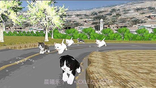 小猫对决截图3 小猫对决截图3