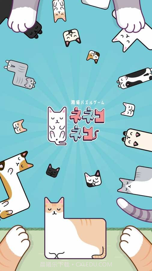 猫猫盒截图2 猫猫盒截图2