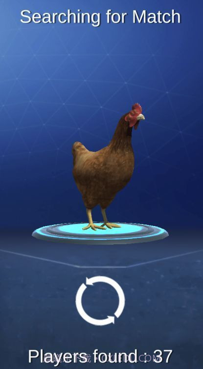 公鸡模拟器截图3