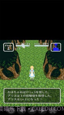 爱丽丝与不思议的迷宫截图5 爱丽丝与不思议的迷宫截图5