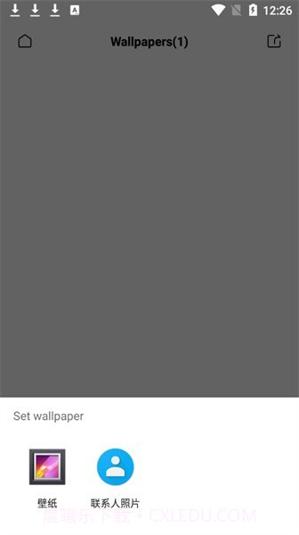 夏至图标包截图3