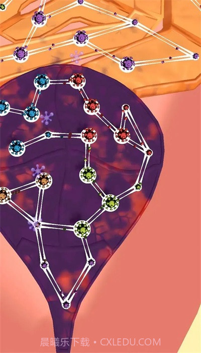 人体细胞连接截图3 人体细胞连接截图3