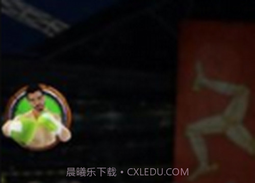 拳击明星赛截图3