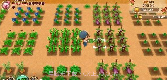 牧场物语再会矿石镇截图2 牧场物语再会矿石镇截图2