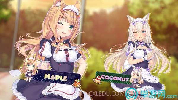 猫娘乐园来店截图4