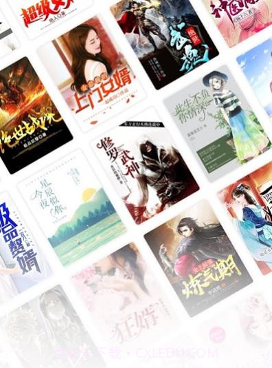 闪爵小说网官方截图2