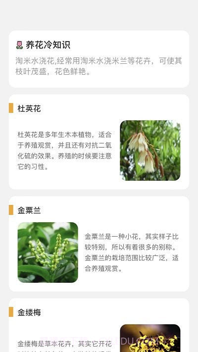 百花悦看截图4 百花悦看截图4