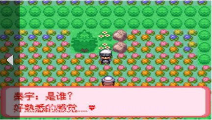 口袋妖怪 暗古神坛6.0 Another Result(悟饭)截图4 口袋妖怪 暗古神坛6.0 Another Result(悟饭)截图4