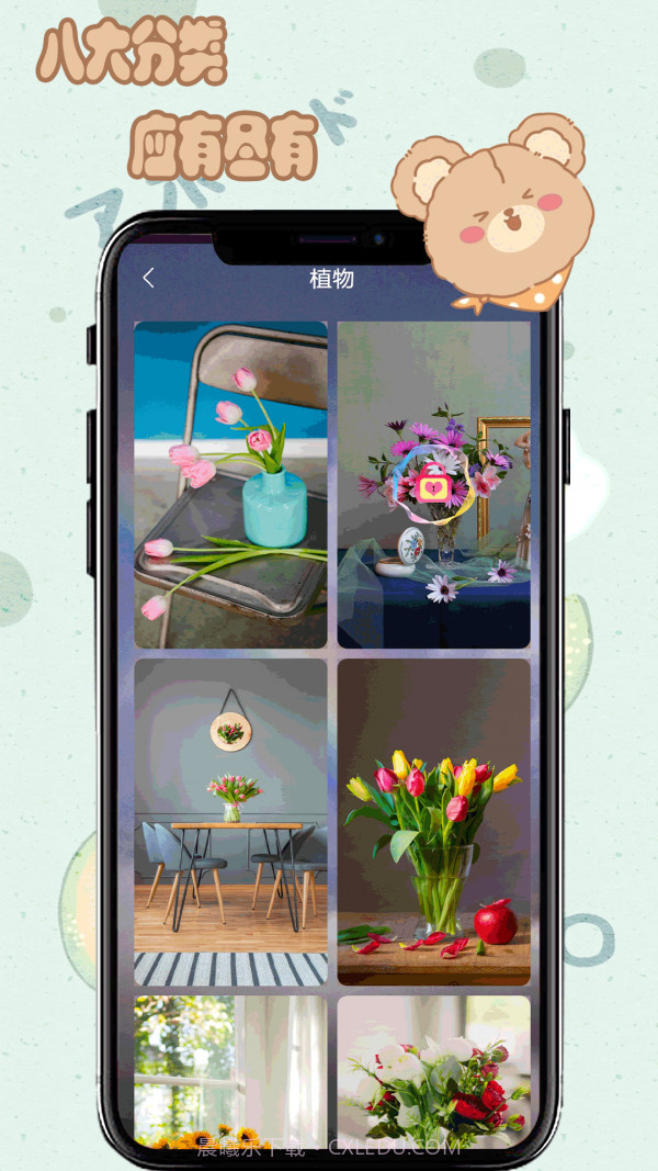 元气小熊壁纸截图1