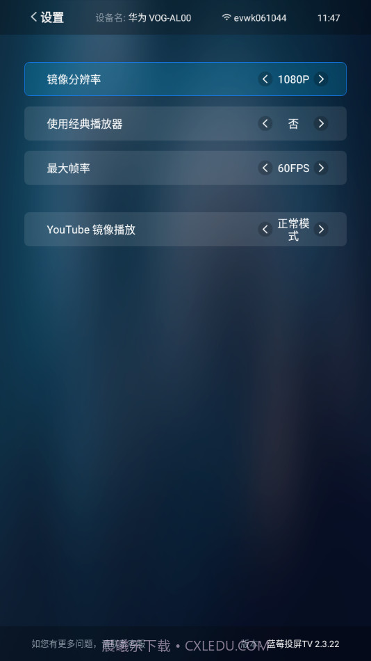 蓝莓投屏TV截图1