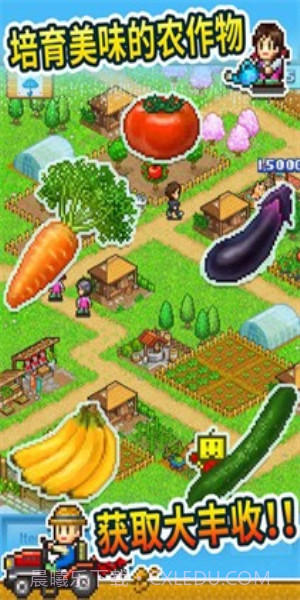 晴空农场物语折相思截图3