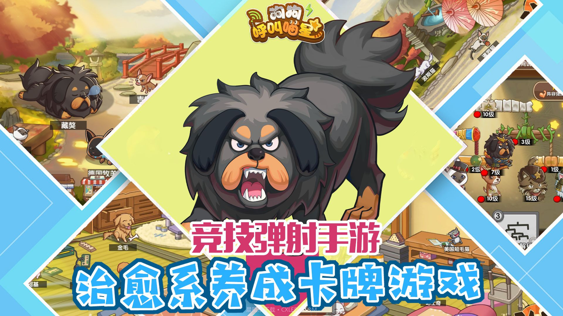 狗狗呼叫喵星测试服截图3