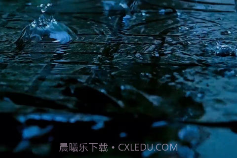 街2截图3 街2截图3