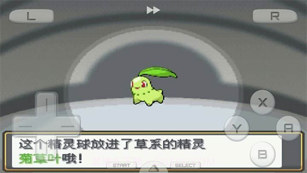 口袋妖怪金银游戏截图1