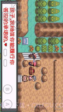 口袋妖怪暗兽神截图3