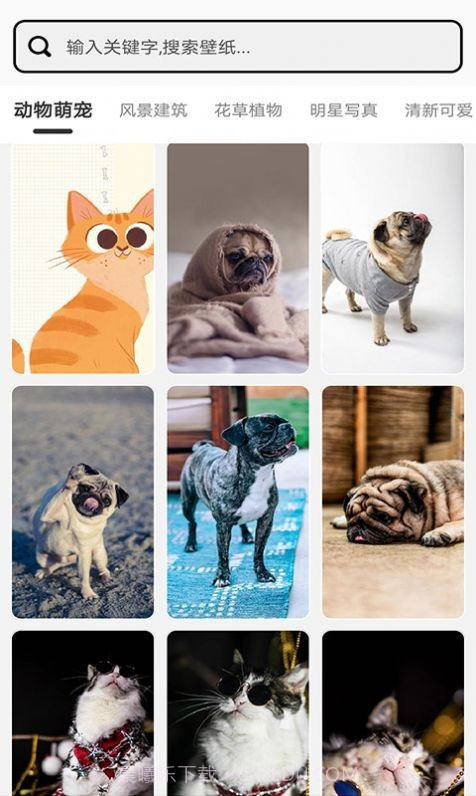 元气小组件截图3 元气小组件截图3