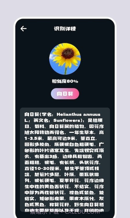 识别花截图2 识别花截图2