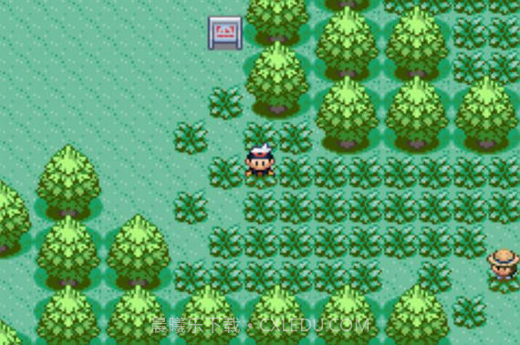 口袋妖怪漆黑的魅影6.0截图4