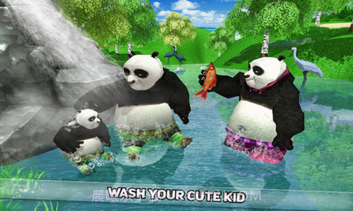 野生熊猫家族截图3