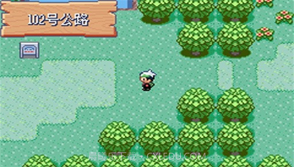 宝可梦剑盾全随机截图4