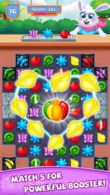 水果线条截图2 水果线条截图2