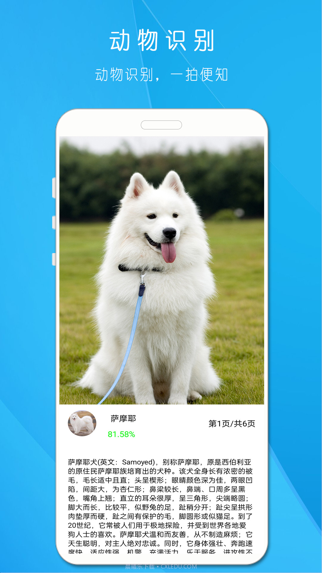 拍照识万物截图2