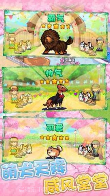 发现狗狗乐园游戏截图2