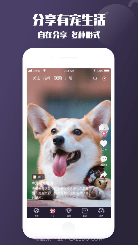 啵宠截图2 啵宠截图2