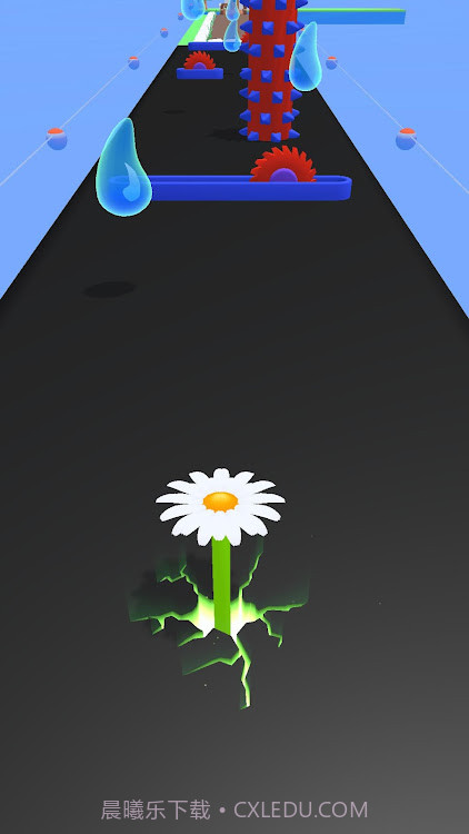 植物进化跑截图2 植物进化跑截图2