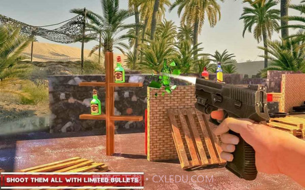 瓶子射击专家截图1 瓶子射击专家截图1