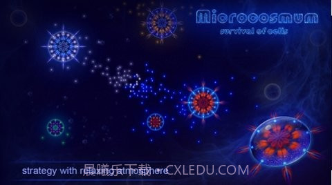 微细胞进化模拟器截图2 微细胞进化模拟器截图2