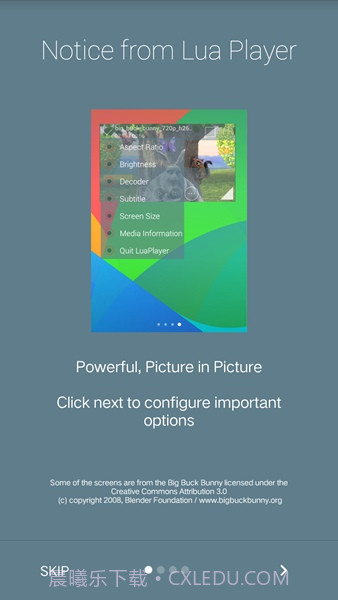Lua Player Pro(Lua多媒体播放器)V1.4.7 安卓汉化版截图2