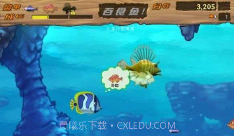 吞食鱼Feeding Frenzy截图1 吞食鱼Feeding Frenzy截图1