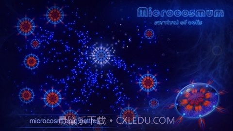 微细胞进化模拟器截图1 微细胞进化模拟器截图1