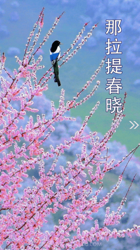 新源好地方截图3