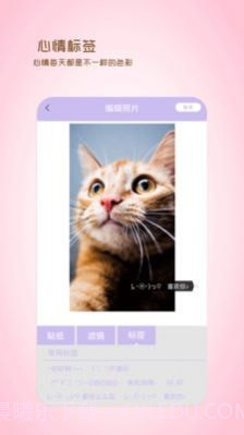 全能美日相机截图2