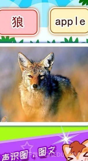 盛火宝宝看图识字截图3