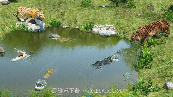 野生老虎模拟器截图4 野生老虎模拟器截图4